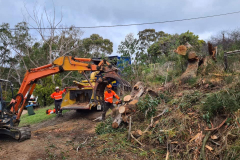stump-removal-land-clearing