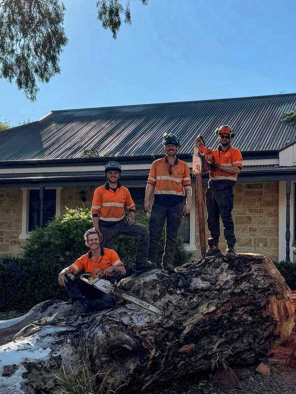 large-tree-removal-team-shot Large Tree Removal