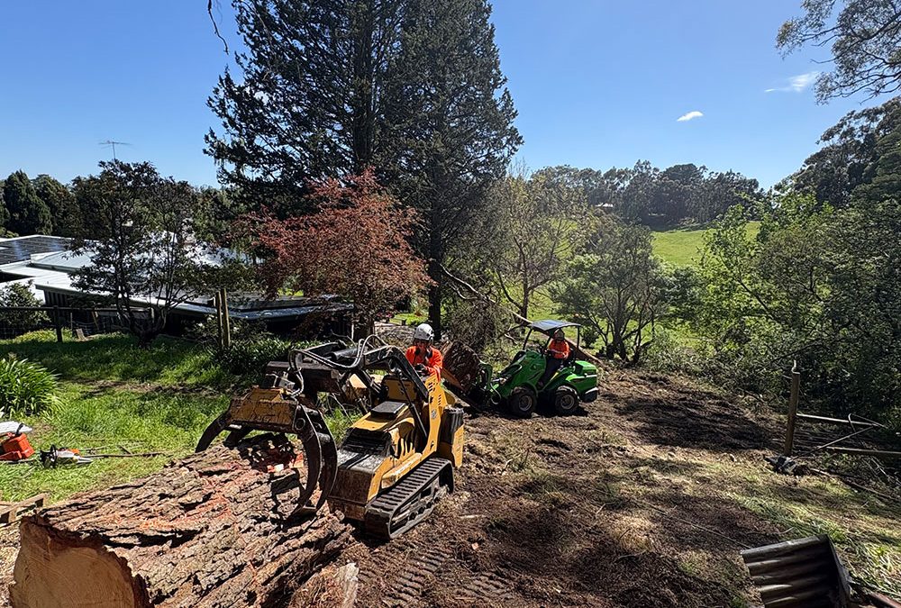 Bush Fire Preparedness in Adelaide Hills