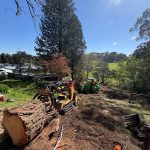 Bush Fire Preparedness in Adelaide Hills