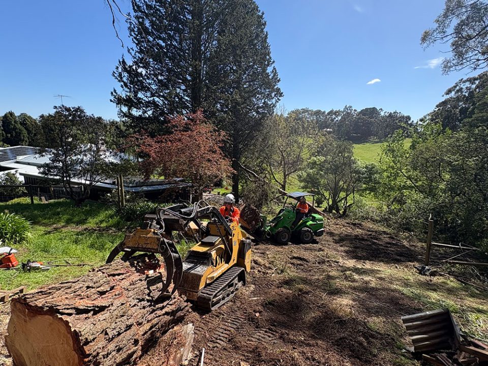 Bush Fire Preparedness in Adelaide Hills